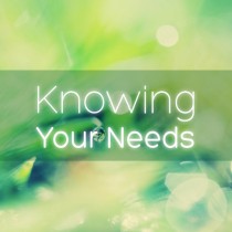 Knowing Your Needs